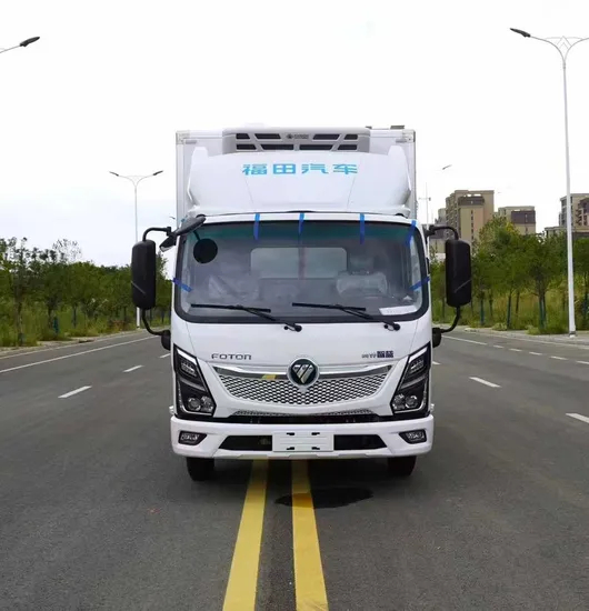 Compact Mini Refrigerated Truck for Reliable Cargo Transport