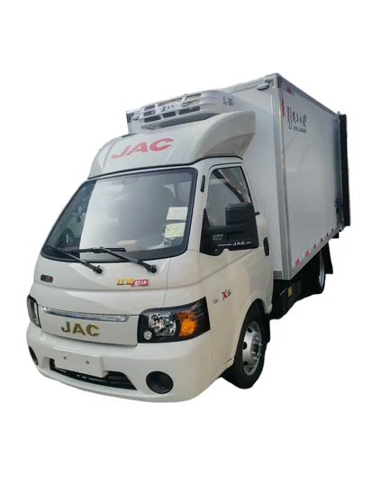 Advanced Cold Chain Delivery Truck for Global Logistics Solutions