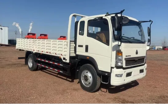 Compact Refrigerated Delivery Truck with Foton Chassis Design