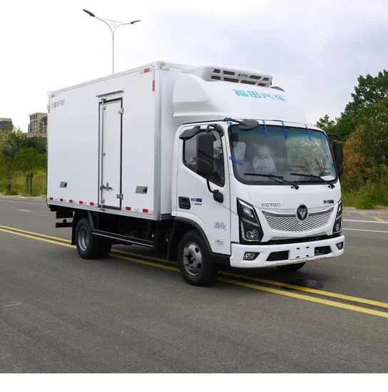 Foton Mini Refrigerated Delivery Truck for Efficient Transport