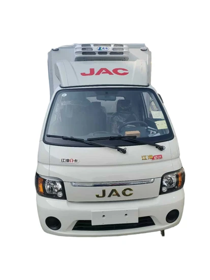 Advanced Cold Chain Delivery Truck for Global Logistics Solutions