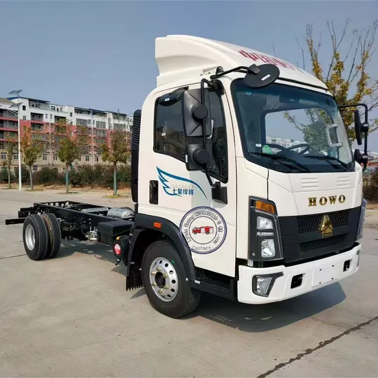 Heavy-Duty Truck HOWO Gold Label Mighty General Carrying Refrigerated Truck for Frozen Food Delivery