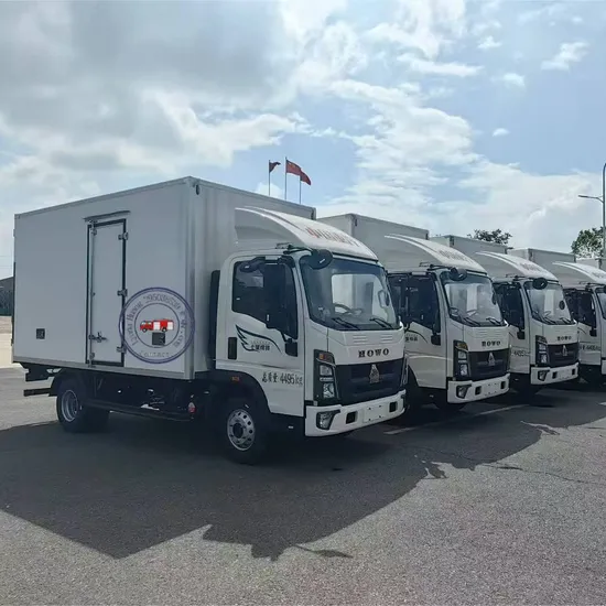 Heavy-Duty Truck HOWO Gold Label Mighty General Carrying Refrigerated Truck for Frozen Food Delivery