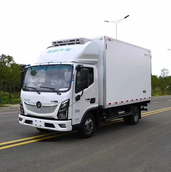 Compact Mini Refrigerated Truck for Reliable Cargo Transport