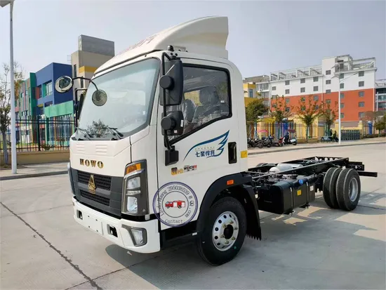 Heavy-Duty Truck HOWO Gold Label Mighty General Carrying Refrigerated Truck for Frozen Food Delivery